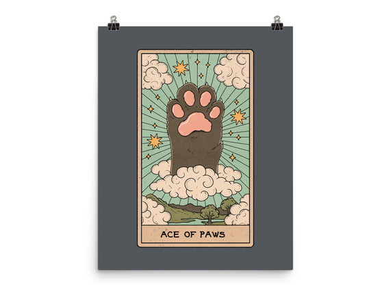 Ace of Paws