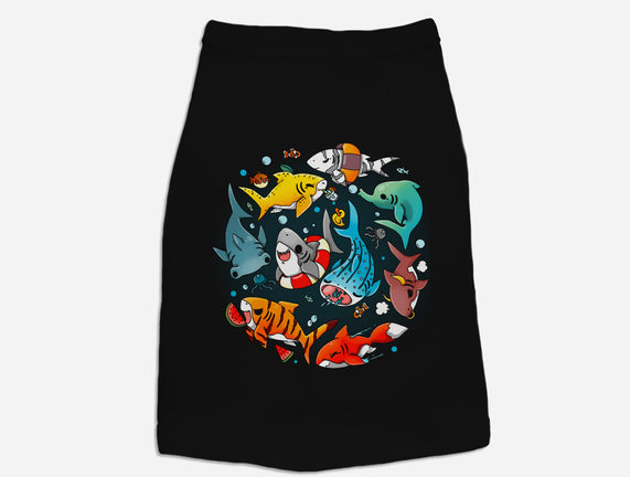 Summer Shark