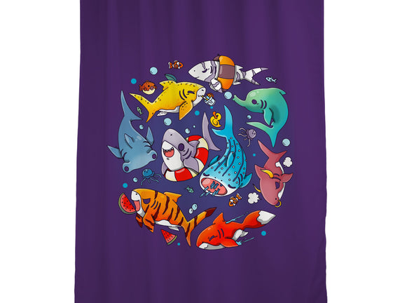 Summer Shark