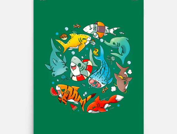 Summer Shark