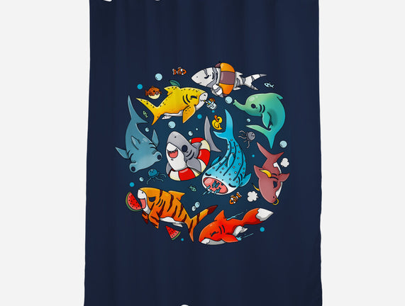 Summer Shark