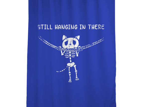 Still Hanging In There