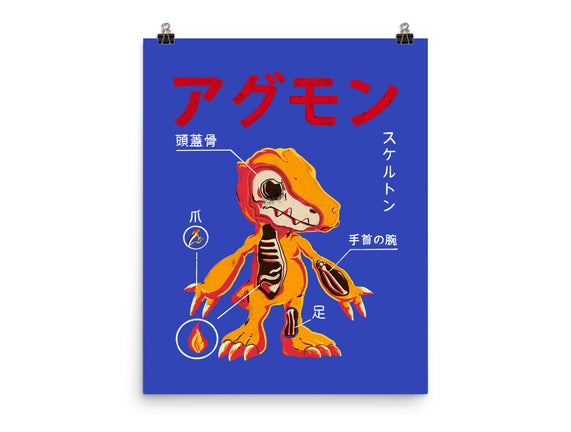 Anatomy Of A Digital Monster