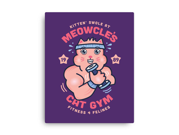 Meowcle's Cat Gym
