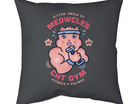Meowcle's Cat Gym