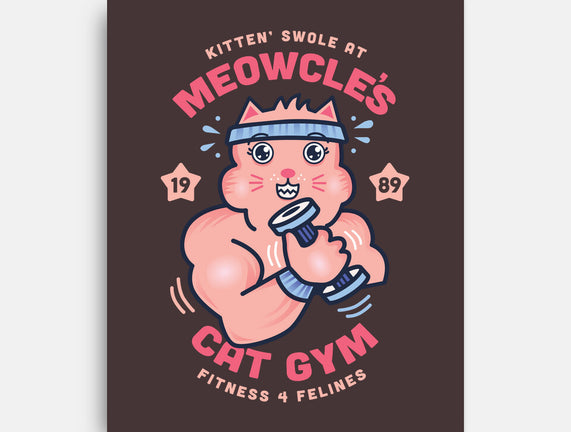 Meowcle's Cat Gym