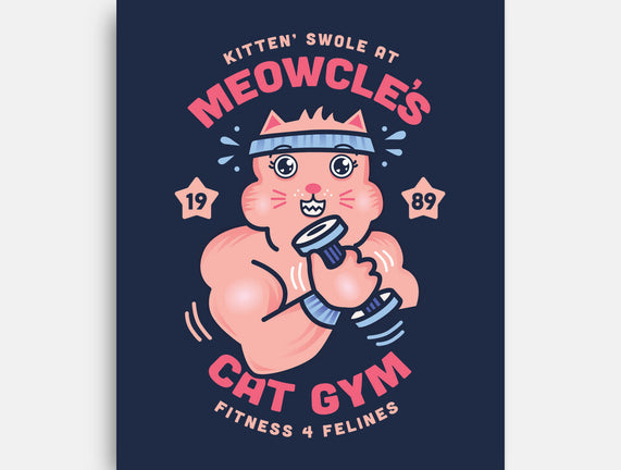 Meowcle's Cat Gym
