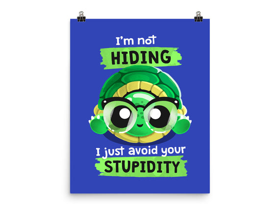 Clever Turtle