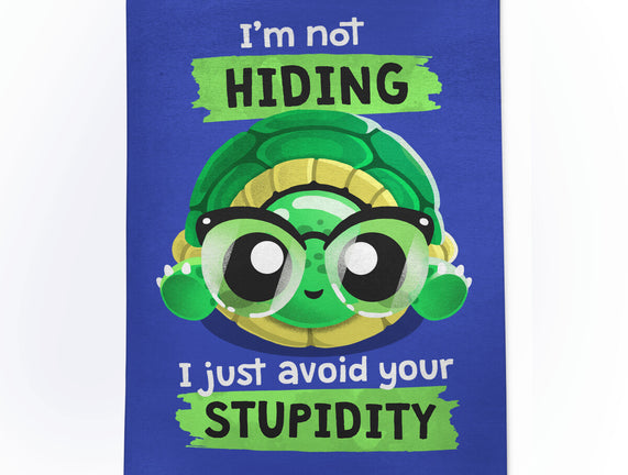 Clever Turtle