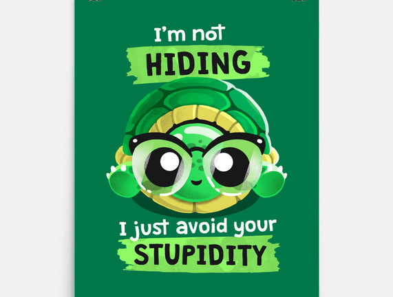 Clever Turtle