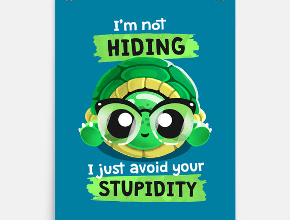 Clever Turtle