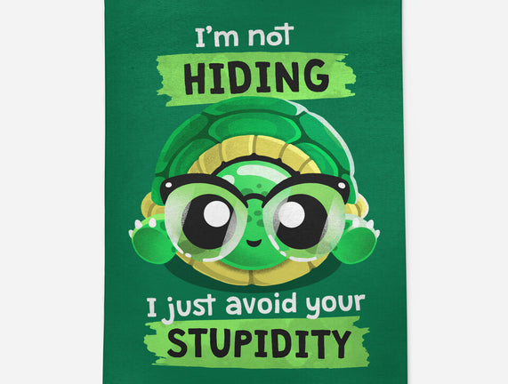 Clever Turtle