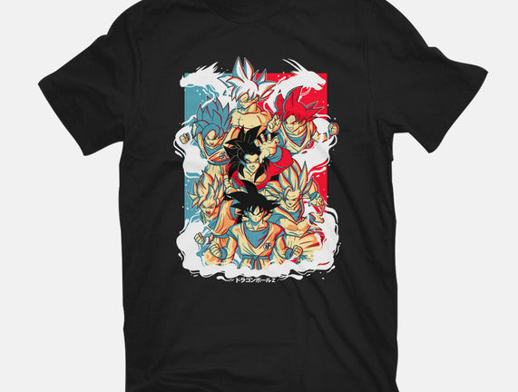 Goku Transforms
