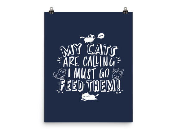 My Cats Are Calling