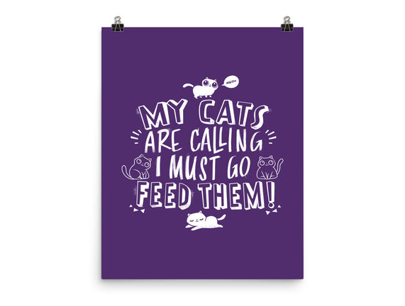 My Cats Are Calling