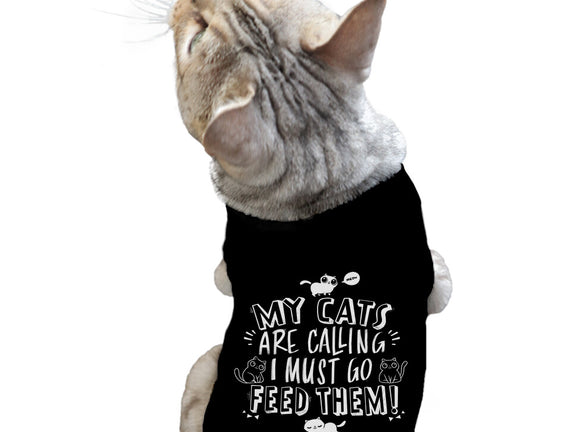 My Cats Are Calling