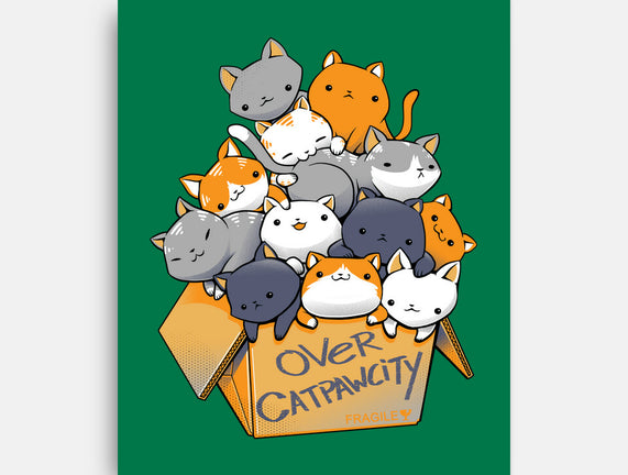 Over Catpawcity