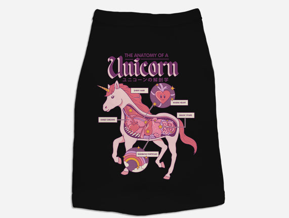 The Anatomy Of A Unicorn