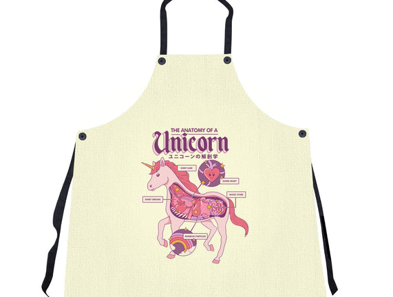 The Anatomy Of A Unicorn
