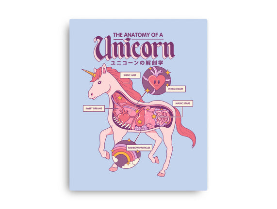 The Anatomy Of A Unicorn