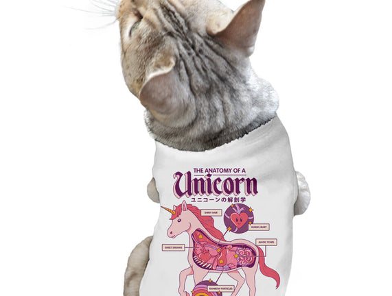 The Anatomy Of A Unicorn