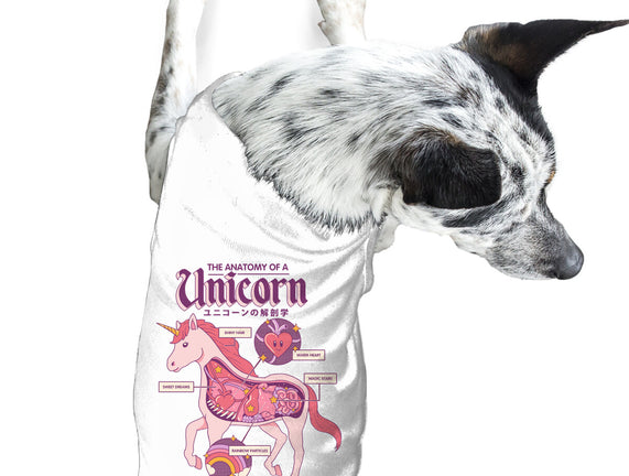 The Anatomy Of A Unicorn
