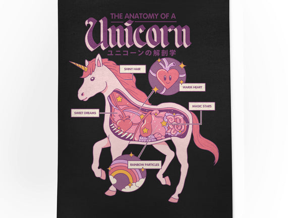 The Anatomy Of A Unicorn