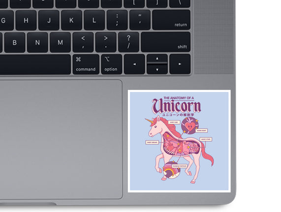 The Anatomy Of A Unicorn
