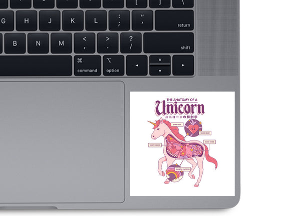 The Anatomy Of A Unicorn