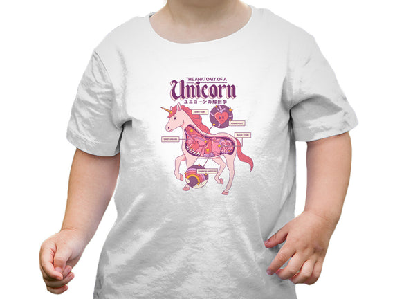The Anatomy Of A Unicorn