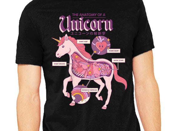 The Anatomy Of A Unicorn