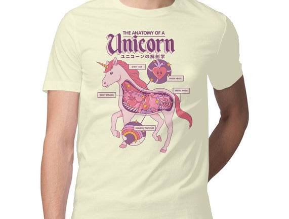 The Anatomy Of A Unicorn