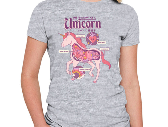 The Anatomy Of A Unicorn