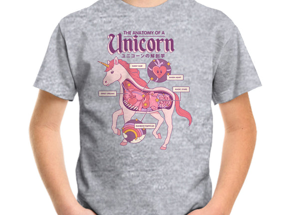 The Anatomy Of A Unicorn