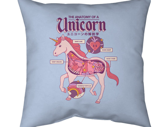 The Anatomy Of A Unicorn