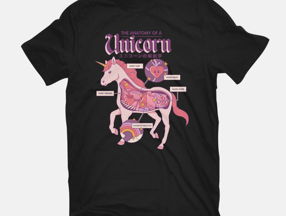The Anatomy Of A Unicorn