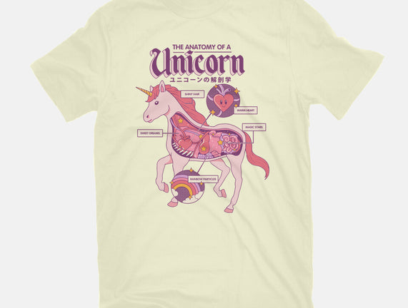 The Anatomy Of A Unicorn