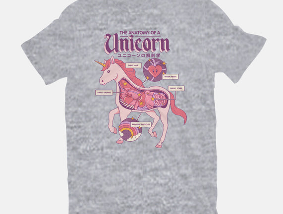 The Anatomy Of A Unicorn