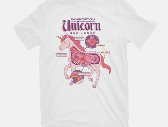 The Anatomy Of A Unicorn