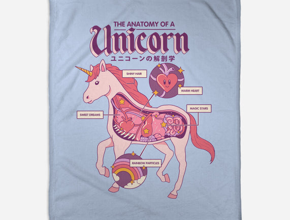 The Anatomy Of A Unicorn