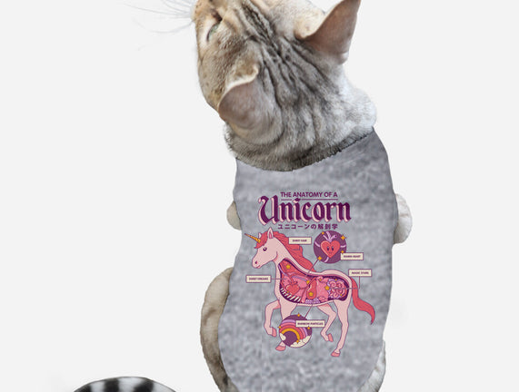 The Anatomy Of A Unicorn