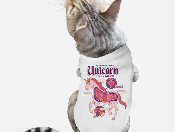 The Anatomy Of A Unicorn