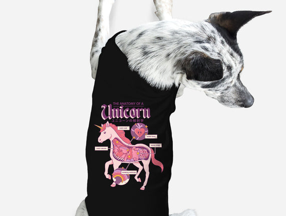 The Anatomy Of A Unicorn