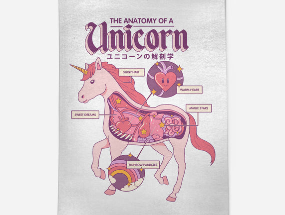 The Anatomy Of A Unicorn