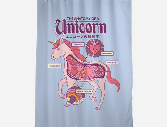 The Anatomy Of A Unicorn