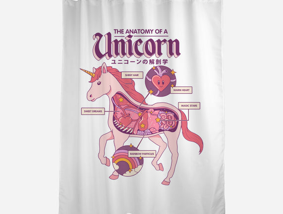 The Anatomy Of A Unicorn