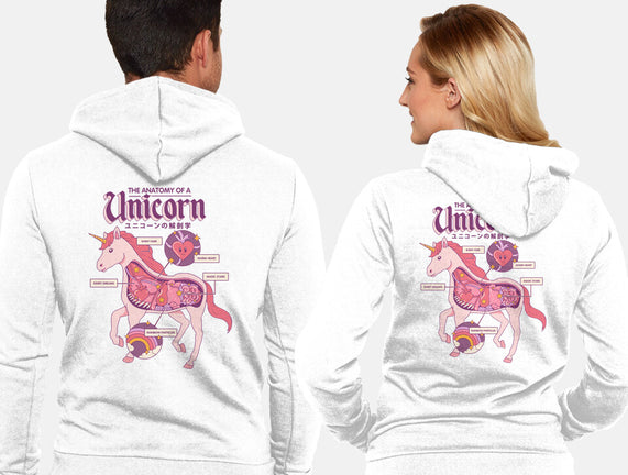 The Anatomy Of A Unicorn
