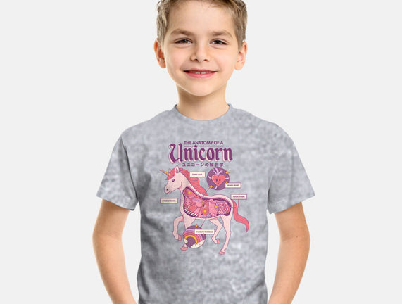 The Anatomy Of A Unicorn