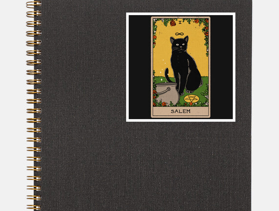 Salem The Cat