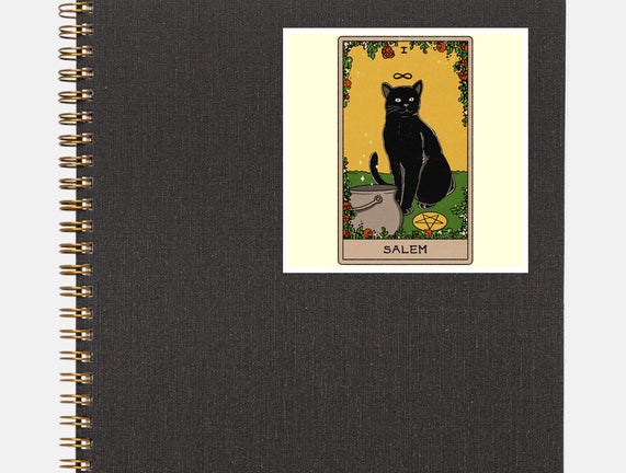 Salem The Cat